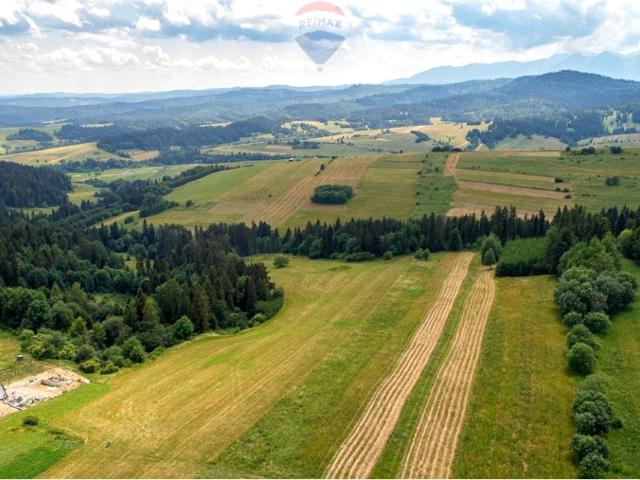 Zielona 3 047 m², Łapsze Wyżne