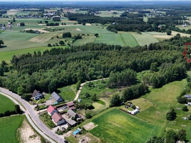 Zielone Wzgórze 3 373 m², Przyjaźń