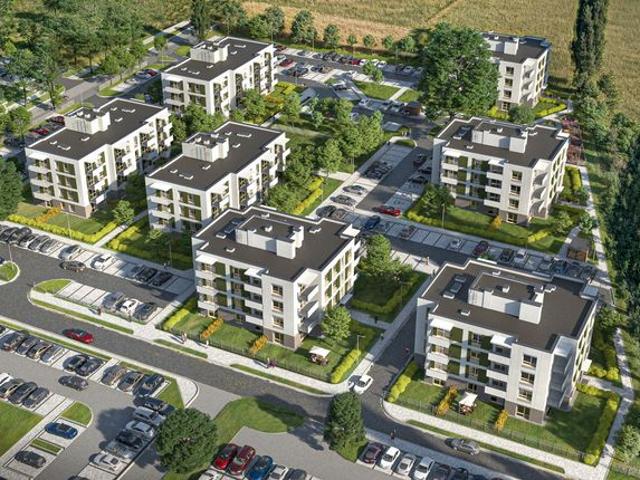 Zielone Zamienie XI