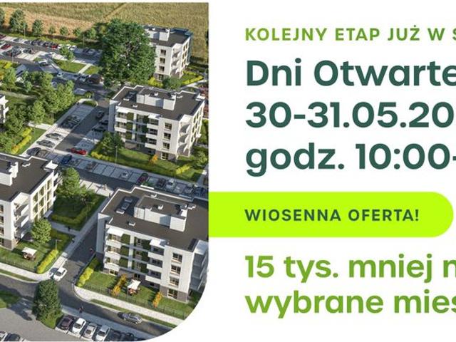 Zielone Zamienie XI