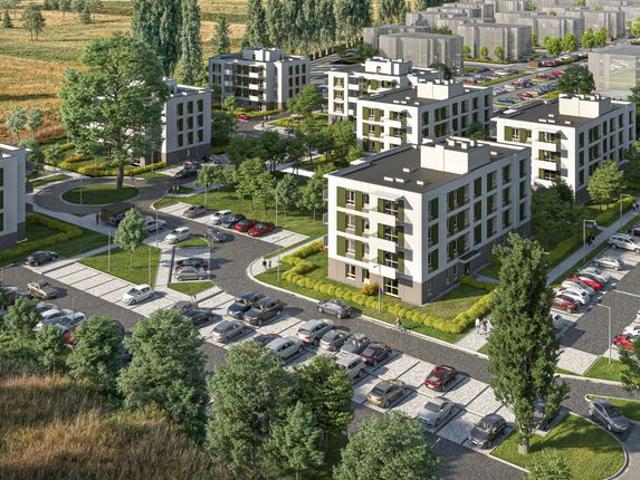 Zielone Zamienie XI