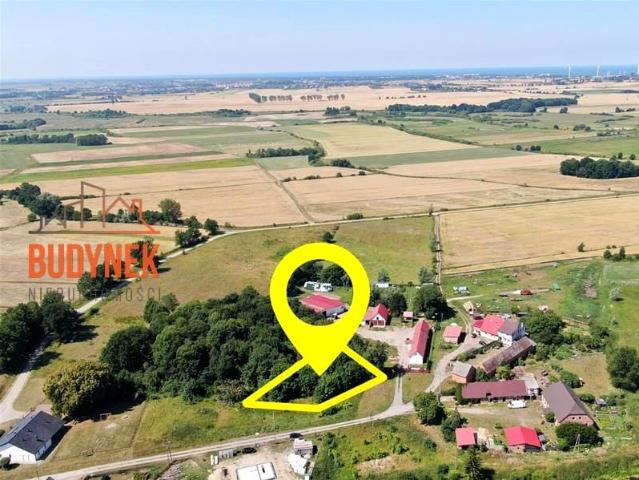 Zielnowo 1 300 m², Zielnowo