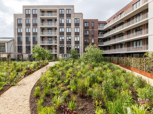 Zijdebalenstraat 41, 3513 DH Utrecht