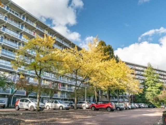 Zijldonk 0ong, 2317 DP Leiden, Nederland