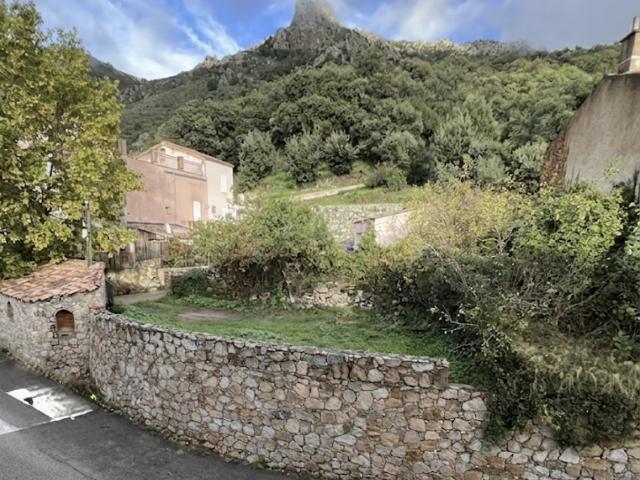 Zilia Vente Terrain 20