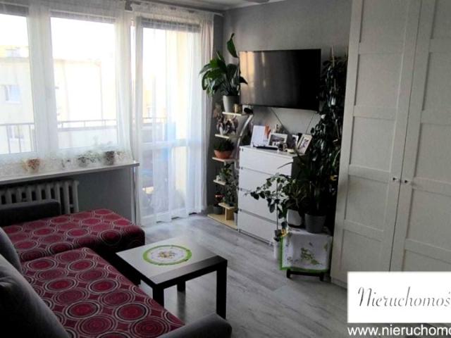 Zjednoczenia 60,20 m², Biedrusko