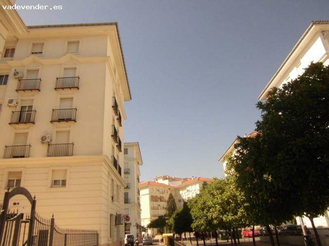 Zona Avenid Plaza El Caballo, apartamento amueblado un dormitorio