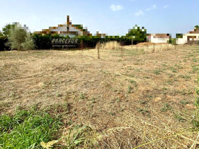 ZONA ALAMILLO Villarrubia. Parcela de terreno de 1.250 m2 con agua de comunidad