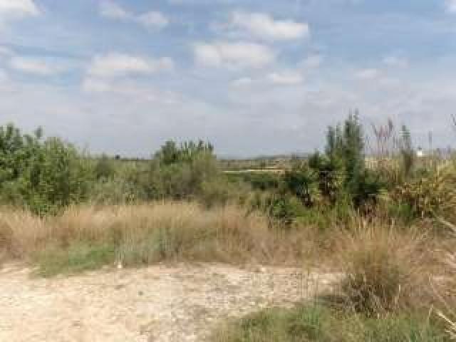ZONA CAMINO VIEJO DE ALMODOVAR Parcela de terreno de 950 m2 con pozo y punto de luz. trasterillo