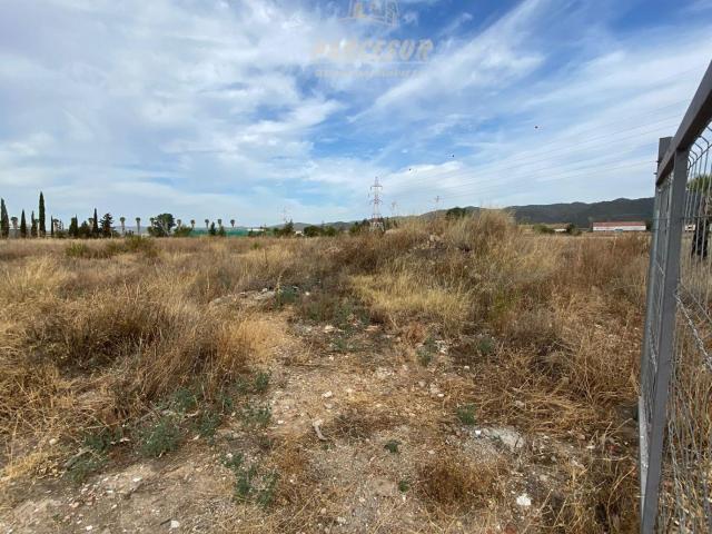 ZONA LA BARQUERA Parcela de 16.000 m2 con escrituras, con posibilidad de dividir en 2