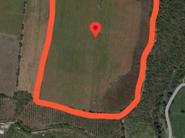 Zona Río Cuautla / 19 Has. De terreno agrícola