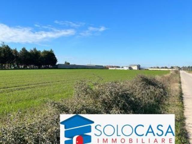 zona Salice / via Camporeale terreno agricolo Ha 2,00 fronte strada a E 70.000