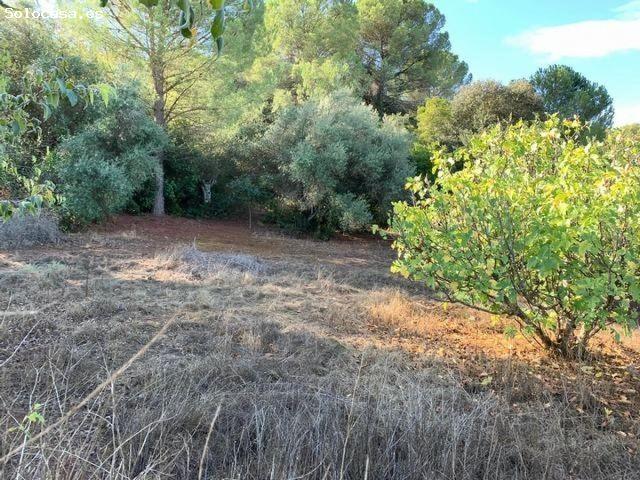 ZONA TRASSIERRA Parcela de terreno de 3.000 m3 con luz, con cancela