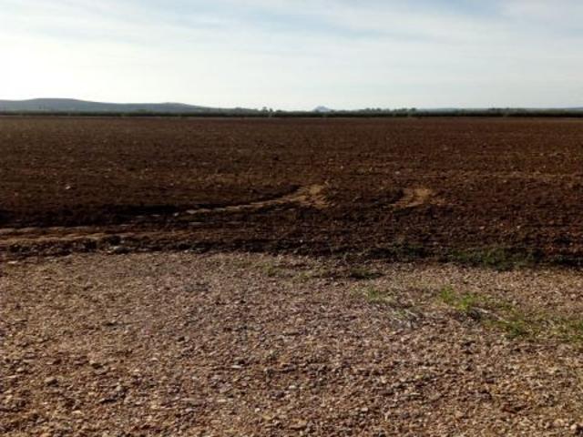 ZONA VILLARRUBIA Finca rustica de 3 hectáreas con boca de riego y alcantarillado