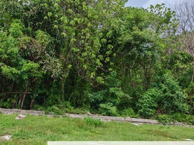 Zoning Industry Land At Alma, Bukit Mertajam For
