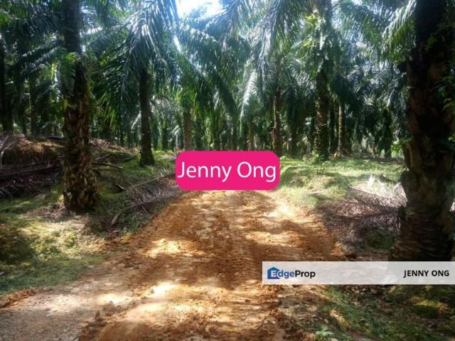 Zoning Industry Land At Perindustrian Sungai Petani, Kedah For Sale