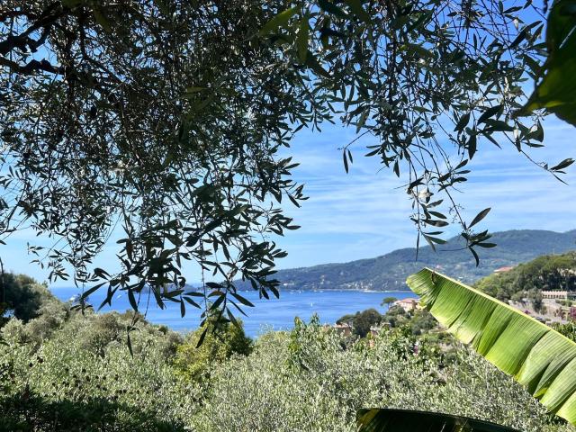 Zoagli: Cornice per Sant'Ambrogio proponiamo in esclusiva, in piccolo contesto di soli tre appartamenti splendido appartamento su due livelli con vista mare, immerso nella tranquillità e dotato di giardino privato e posto auto, in locazione contratto 4+4