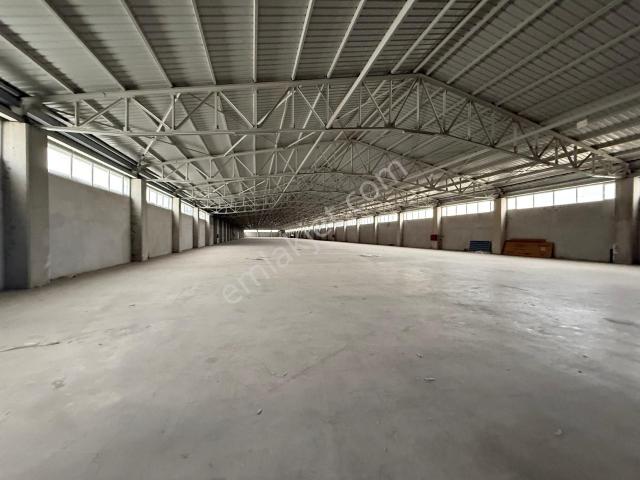 Zorlu Emlak'tan Organize Sanayi'de 6000m2 İle 12000m2 Kiralık