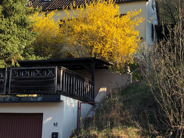 Zwangsversteigerung Einfamilienhaus in Gemünden Besichtigung möglich