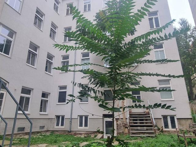 Zwei Eigentumsobjekte mit Gartenanteil – Alleinstehendes Hofhaus im Altbaugebäude nahe Rudolfstiftung!