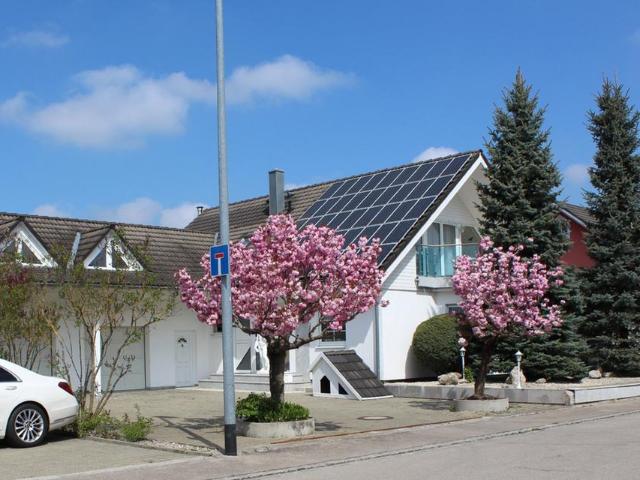 Zweigenerationshaus & Gewerbehalle 966 m² | 1.920 m² Grundstück