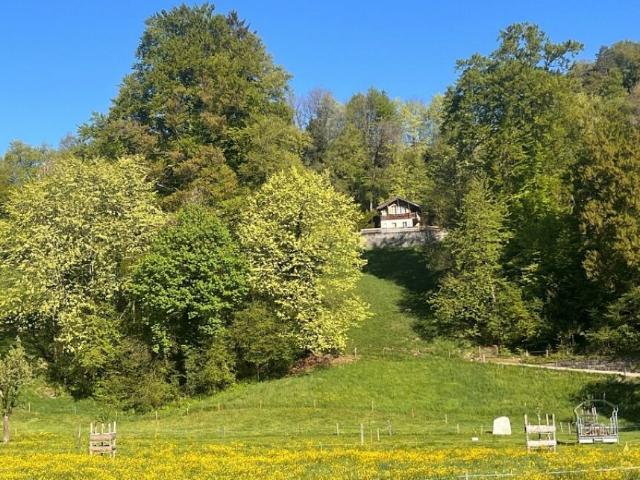 ZweiZimmerHaus im Rugenwald. ERSTWOHNSITZ