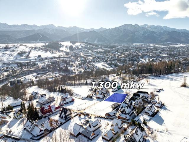 Zwijacze 1 450 m², Zakopane