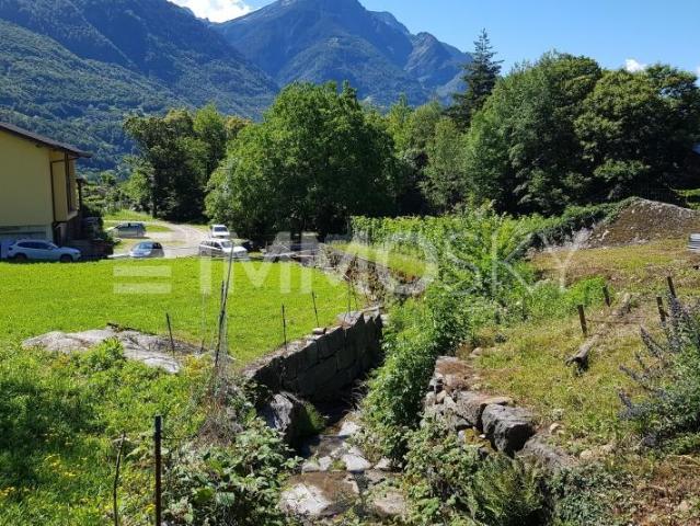 Zwischen Sonne und Natur