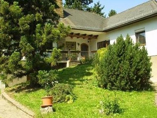 Zu Verkaufen 10 Schlafzimmer Haus Zeiselmauer Österreich DS103961634