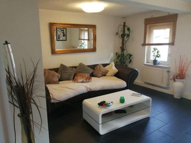 Zu Verkaufen 4 Schlafzimmer Haus Ludwigshafen Am Rhein Deutschland DS77157118