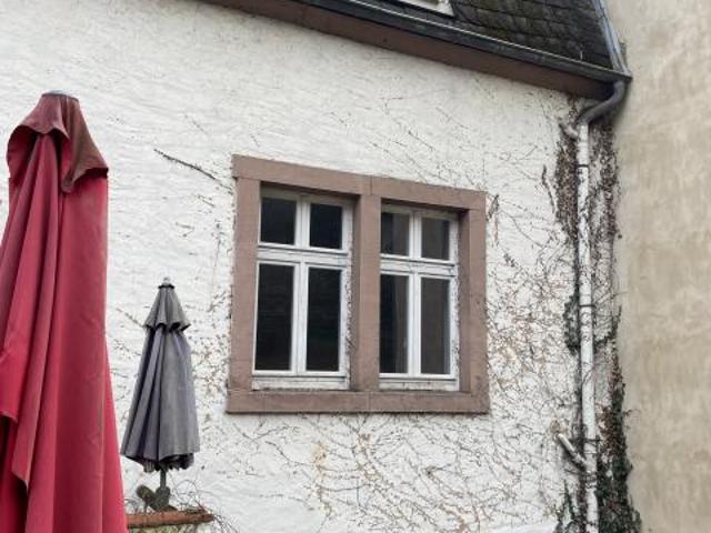 Zu Verkaufen 8 Schlafzimmer Haus Trier Deutschland DS86034122