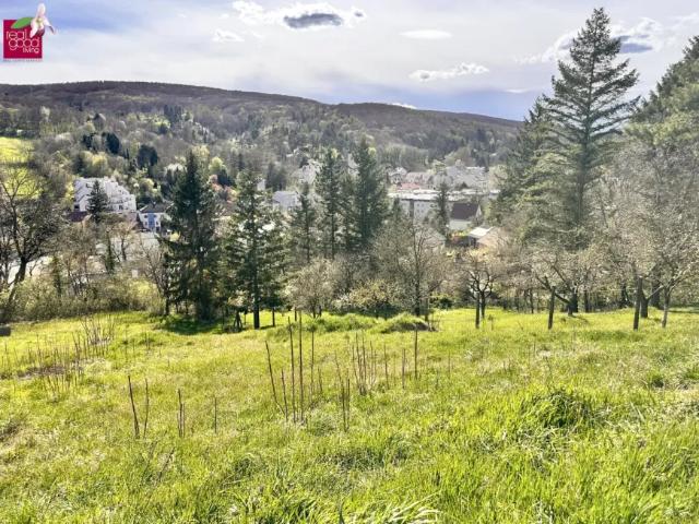 Zu Verkaufen Grundstücke Klosterneuburg Klosterneuburg DS103148574