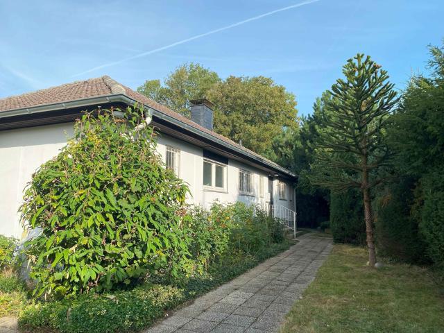 ZU VERKAUFEN: Freistehender Bungalow auf einem großen Grundstück in beliebter Lage von Bad Sassendorf