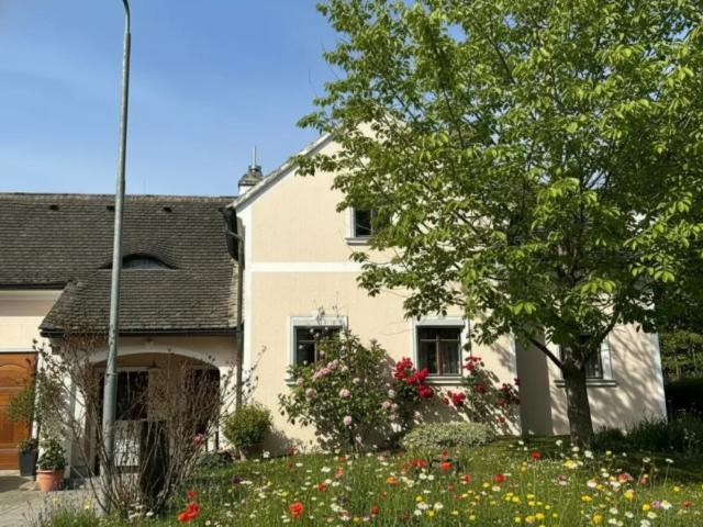 Zu Verkaufen Haus Ulrichskirchen Ulrichskirchen DS103169872