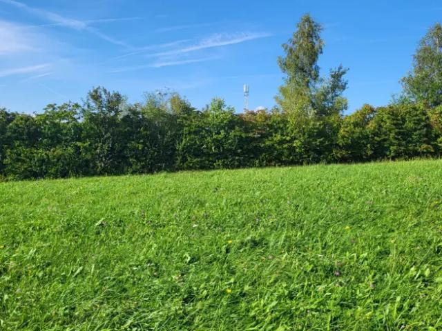 Zu Verkaufen Haus Diersbach Diersbach DS104321703