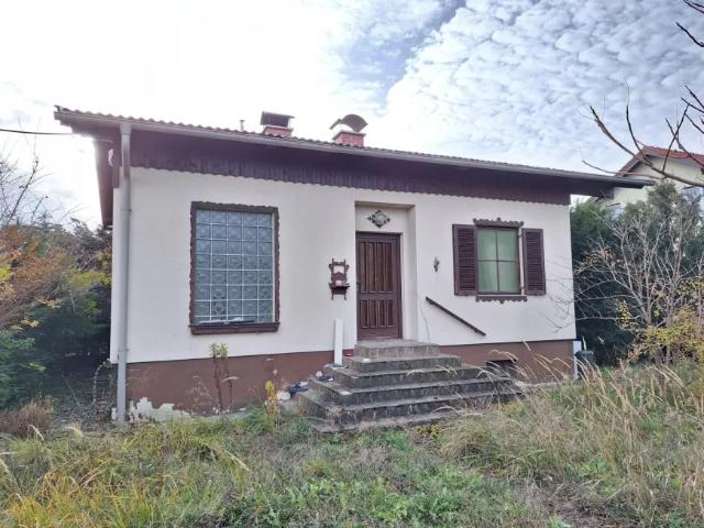 Zu Verkaufen Haus Gerasdorf Bei Wien Gerasdorf Bei Wien DS103172273