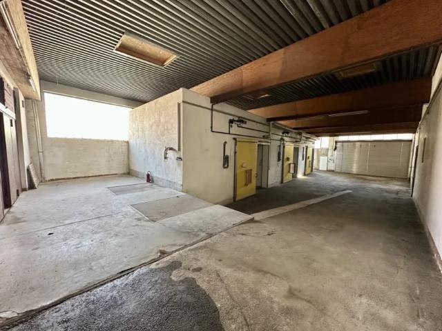 Zu Verkaufen Haus Hainfeld Hainfeld DS103486294