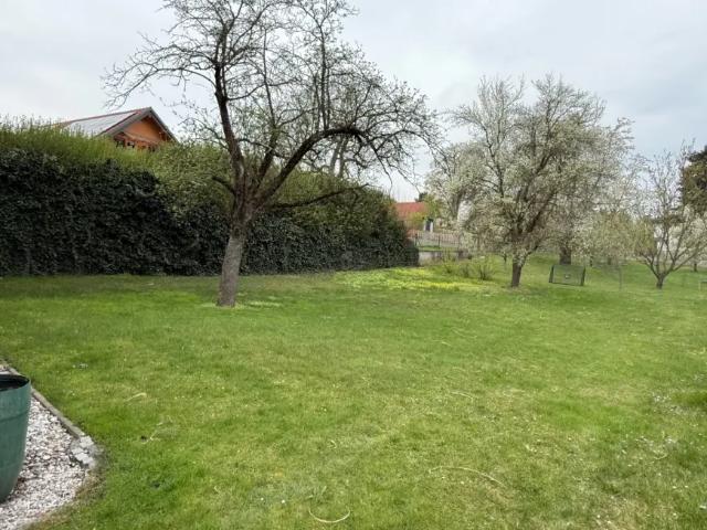 Zu Verkaufen Haus Katzelsdorf Katzelsdorf DS103147970