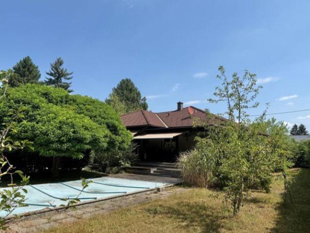 Zu Verkaufen Haus Marchtrenk Marchtrenk DS104403327