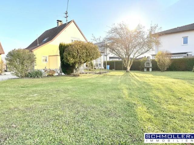 Zu Verkaufen Haus Marchtrenk Marchtrenk DS104140310