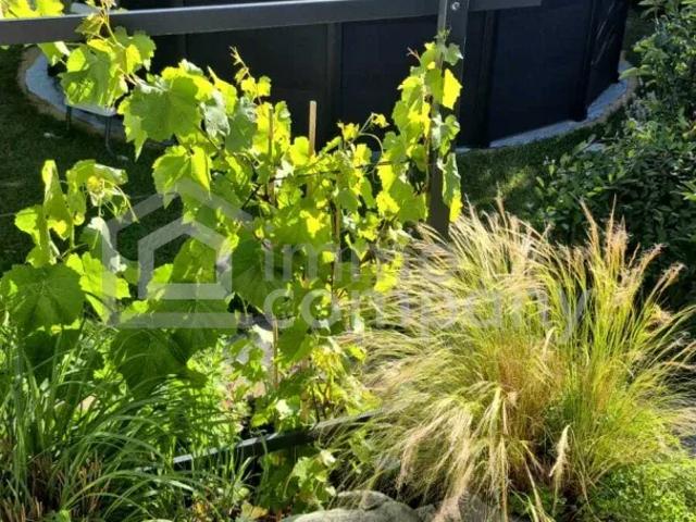 Zu Verkaufen Haus Pottendorf Pottendorf DS103307795