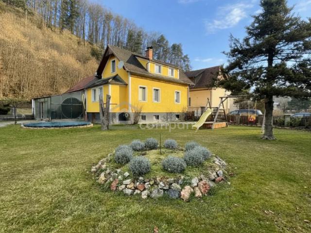 Zu Verkaufen Haus Scheiblingkirchen Scheiblingkirchen DS103882523