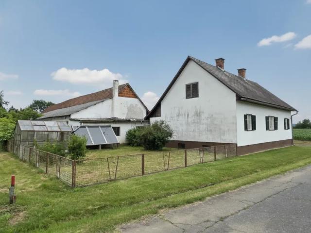 Zu Verkaufen Haus Sankt Veit In Der Südsteiermark Sankt Veit In Der Südsteiermark DS103182508