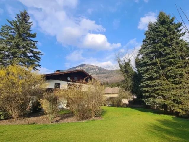 Zu Verkaufen Haus Salzburg Salzburg DS104140345