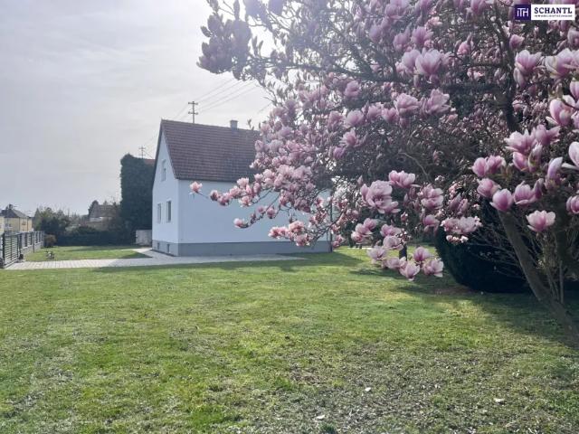 Zu Verkaufen Haus Strebersdorf Strebersdorf DS104474561