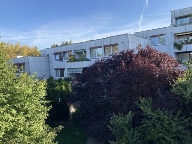 Zu Verkaufen Wohnung Wolkersdorf Im Weinviertel Wolkersdorf Im Weinviertel DS103155481