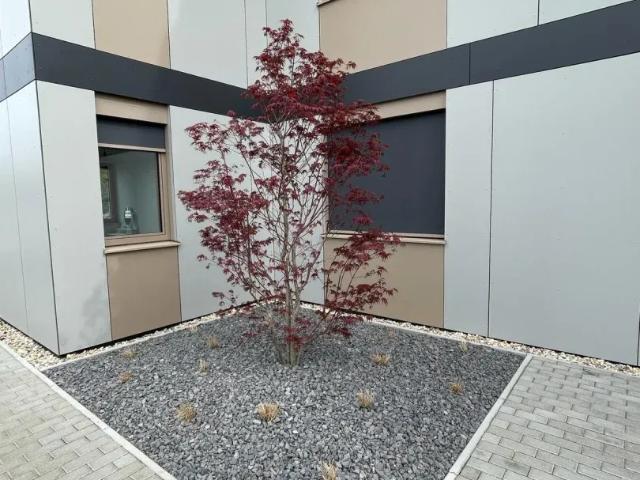 Zu Verkaufen Wohnung Achau Achau DS103150237
