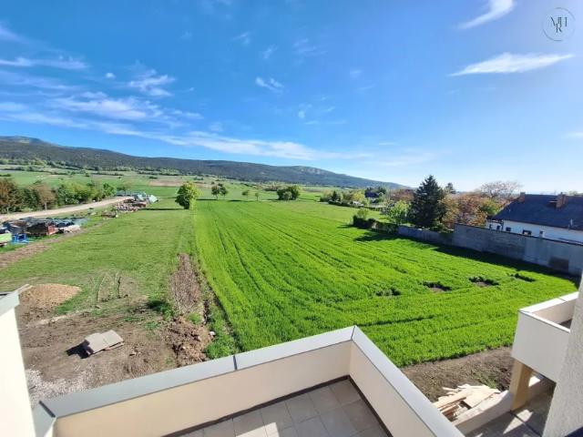 Zu Verkaufen Wohnung Bad Vöslau Bad Vöslau DS103147909