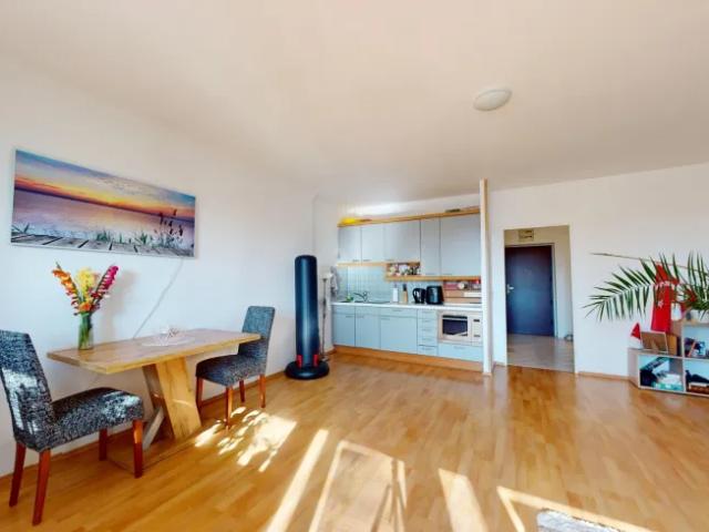 Zu Verkaufen Wohnung Biedermannsdorf Biedermannsdorf DS104139072