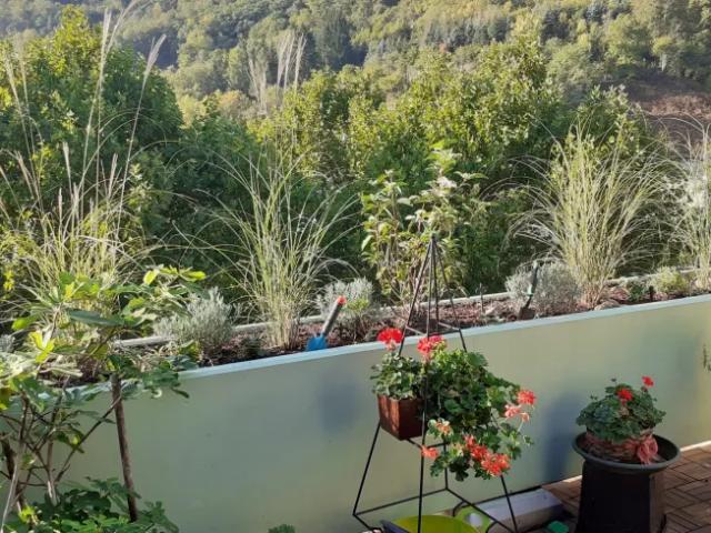 Zu Verkaufen Wohnung Krems An Der Donau Krems An Der Donau DS104321434